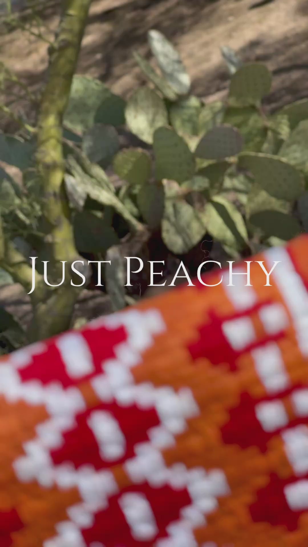 Just Peachy Western Show Blanket ~ The 2.0 Kaycee #0043