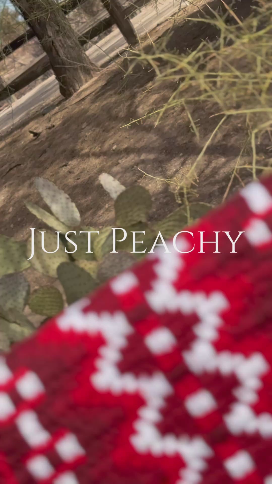 Just Peachy Western Show Blanket ~ The 2.0 Kaycee #0031-1